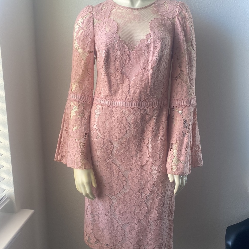 Tadashi Shoji Petal Pink lace dress